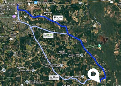 TBD Harden Rd, Pamplico, SC 29583 - photo 4