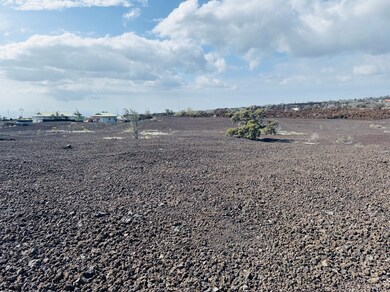 92-1039 Kamaaina Blvd, Ocean View, HI 96704 - photo 4