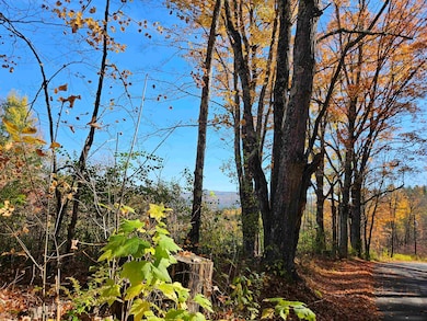 324 Crane Hill Rd, Sugar Hill, NH 03586 - photo 4