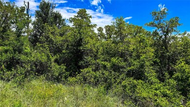 Backside of Property