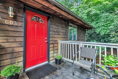 603 Rose Hill Rd, Asheville, NC 28803 - photo 4