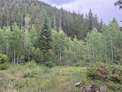 Great mix of aspens and pines