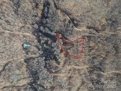 1098 Hyacinth Dr, Clyde, NC 28721 - photo 4