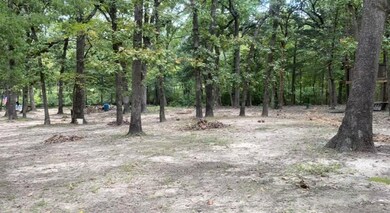 7202 Parkview Dr, Bonham, TX 75418 - photo 5