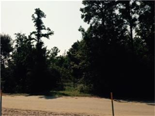 lot3a Saddlewood Dr, Conroe, TX 77384 - photo 5