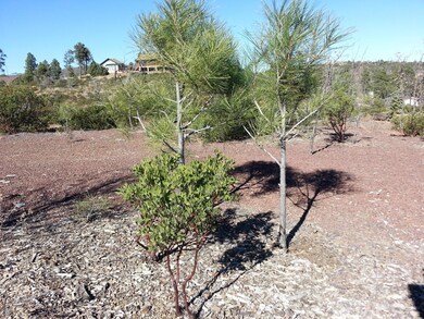6250 Bull Elk Run unit 314, Show Low, AZ 85901 - photo 6