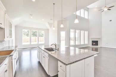 21322 Rose Loch Ln, Tomball, TX 77377 - photo 4