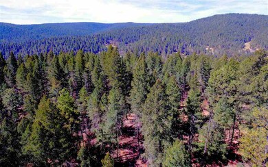 26 Pinos Verdes, Cloudcroft, NM 88317 - photo 3