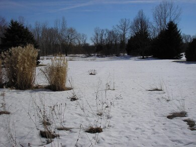 3290 64th St SW, Byron Center, MI 49315 - photo 4