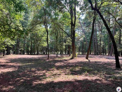 0 Cr 3201 & Cr 3203 unit 117264, Dekalb, TX 75559 - photo 7