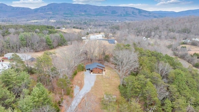 8013 Springwood Rd, Buchanan, VA 24066 - photo 3