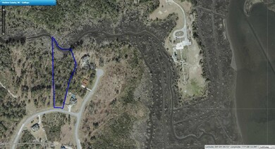 102 Calcos Ct, Stump Sound, NC 28445 - photo 7