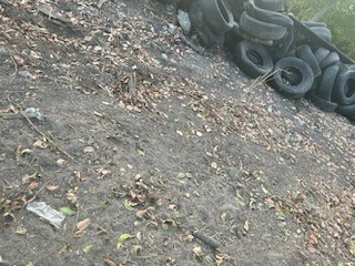 742 Lovers Ln, Houston, TX 77091 - photo 5