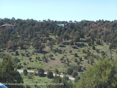 0 Stable unit 132537, Alto, NM 88312 - photo 2