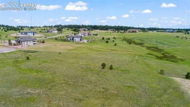 Meadow landscape