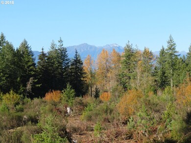 0 Wayne Rd W unit 3 18654977, Seabeck, WA 98380 - photo 4