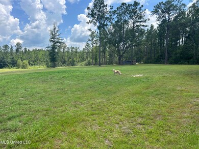 0 Highway 603 unit 4117113, Kiln, MS 39556 - photo 4