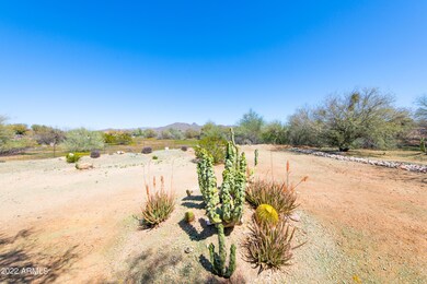 005_Backyard View