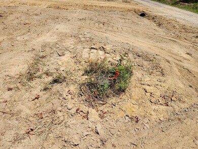 61197 Rocky Rd, Hodgen, OK 74939 - photo 6