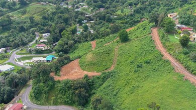 0 Carr 164, Naranjito, PR 00719 - photo 7