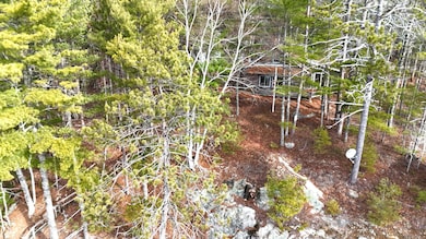422 Bonney Brook Rd, Grand Lake Stream Plantation, ME 04637 - photo 3