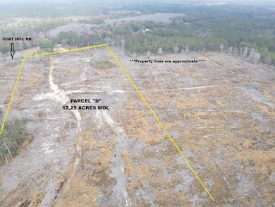 17.25 Acres Goat Hill Rd, Samson, AL 36477 - photo 2