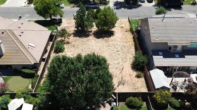 1038 E Omaha Ave, Fresno, CA 93720 - photo 2