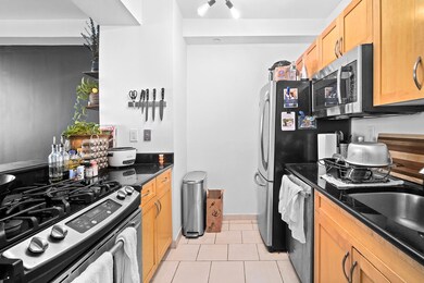 Nolita Place unit 8D, New York, NY 10002 - photo 4