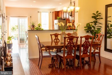 42794 San Sebastian Terrace, Chantilly, VA 20152 - photo 7