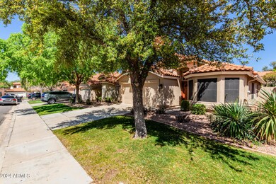 05-Saddleback
