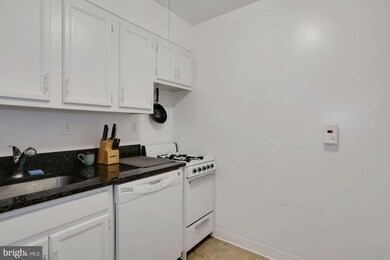 725 Delaware Ave SW unit 218, Washington, DC 20024 - photo 7
