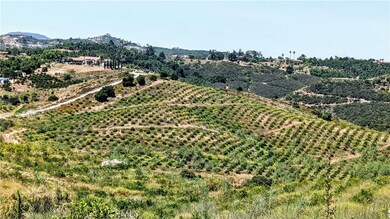 11160 Berry Rd, Valley Center, CA 92082 - photo 5