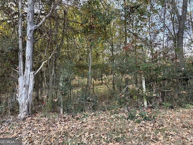 222 Norman Rd, Athens, GA 30607 - photo 5