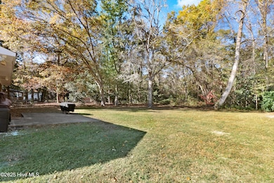 1708 Strawberry Branch Rd, Kinston, NC 28501 - photo 7