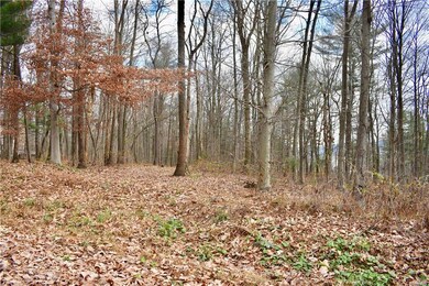 0 Rabbit Run & Orchard View unit 654256, Schuylkill County, PA 18211 - photo 3