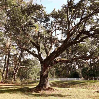 119 Sharonwood Dr, Crawfordville, FL 32327 - photo 4