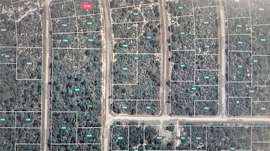 3138 Aster Ave, Lake Placid, FL 33852 - photo 2