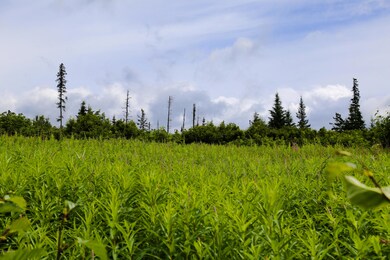 32800 Coyote Run Rd, Nikolaevsk, AK 99556 - photo 7