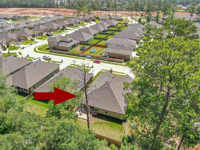 14316 Zion Gate Crossing, Conroe, TX 77384 - photo 4