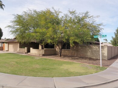Front Area