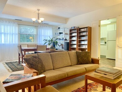 26 Crescent St unit 100, Northampton, MA 01060 - photo 7