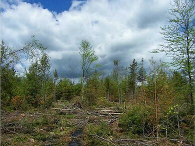 Land/Lot.