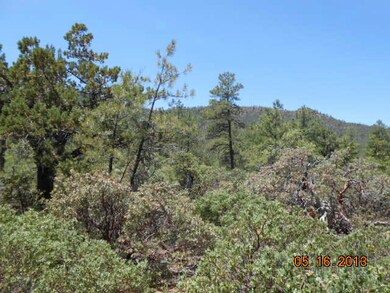 102 Sundown Ln, Pine, AZ 85544 - photo 3