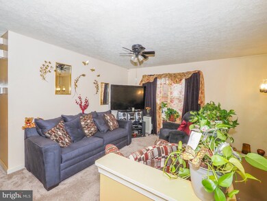 317 Key Ave, Brooklyn, MD 21225 - photo 6