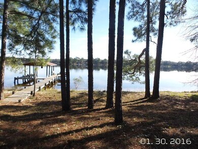 back yard with dock and boat house
