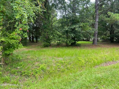 0 Haddock Rd unit 1237696, Jacksonville, FL 32218 - photo 3