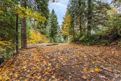 487 Montgomery Ave, Glendale, OR 97442 - photo 3