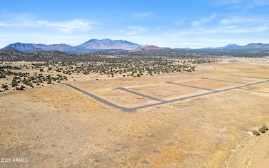 12933 Blazing Ore Trail, Flagstaff, AZ 86004 - photo 7