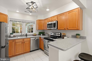 2905 S Woodstock St unit C, Arlington, VA 22206 - photo 5