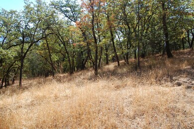 0 NE Greenfield Tl300 unit 102982269, Grants Pass, OR 97526 - photo 4